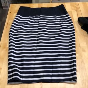 Navy and white skirt